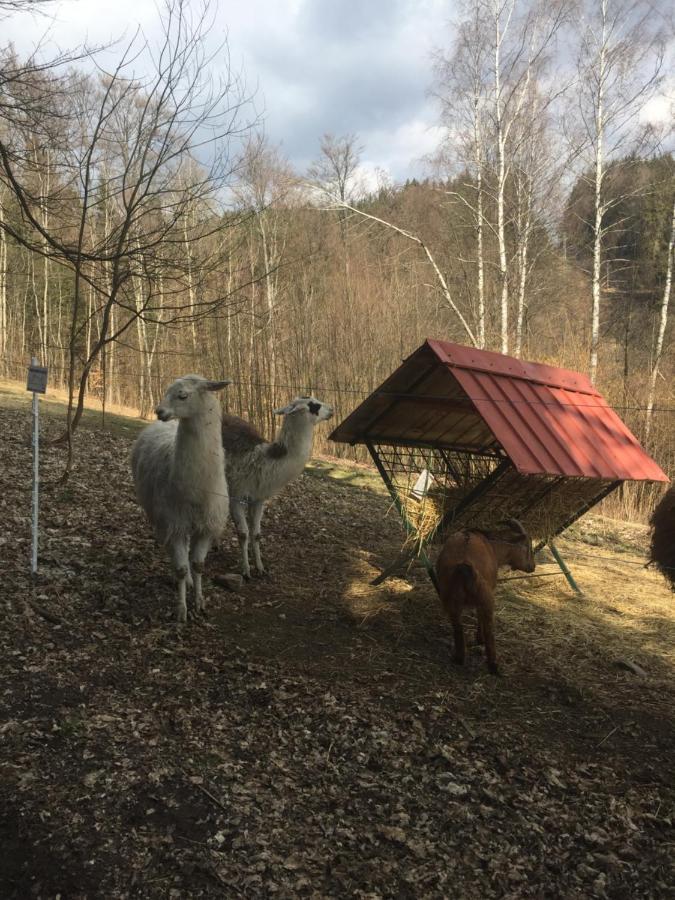 Apartman Hopi Hopi Svoboda nad Úpou Eksteriør bilde